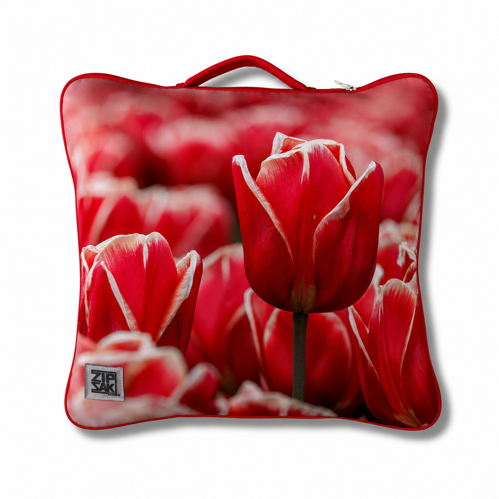 Zwanky Zak Tulips