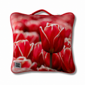 Zwanky Zak Tulips